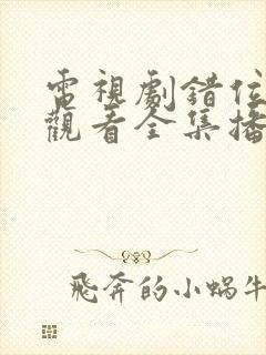 电视剧错位免费观看全集播放封面