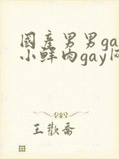 国产男男gay小鲜肉gay网站亚洲