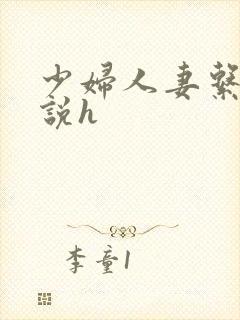 少妇人妻系列小说h封面