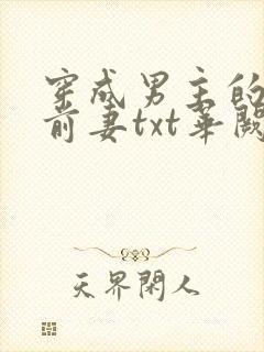 穿成男主的炮灰前妻txt华阙阙