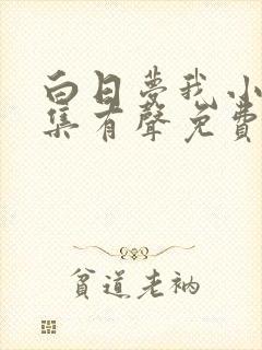 白日梦我小说全集有声免费听