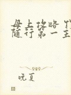 母上攻略 竹影随行第一主板封面