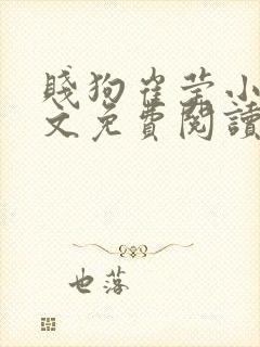 贱狗崔莹小说全文免费阅读