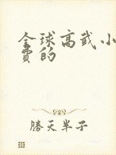 全球高武小说免费的