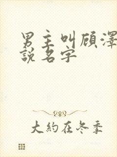 男主叫顾泽的小说名字