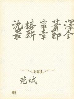 沈榕宁萧泽小说最新章节全文阅读封面