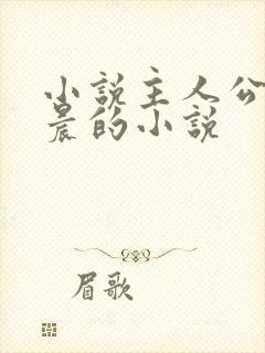 小说主人公叫林晨的小说