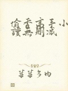 偷香高手小说阅读无删减