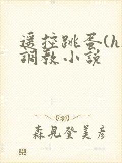 遥控跳蛋(h)调教小说