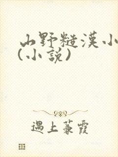 山野糙汉小娇娘(小说)封面