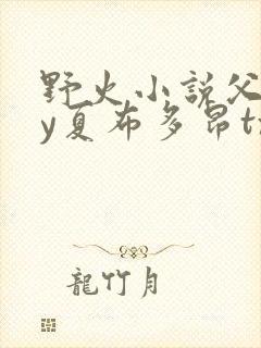 野火小说父女by夏布多昂txt封面