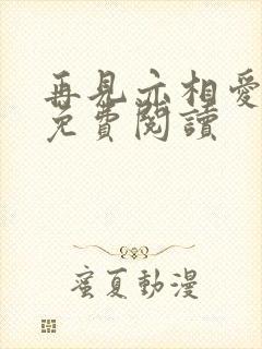 再见亦相爱小说免费阅读