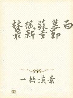 林枫苏慕白小说最新章节