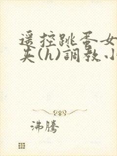 遥控跳蛋女仆乳夹(h)调教小说封面