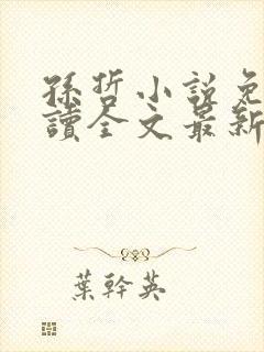 孙哲小说免费阅读全文最新章节