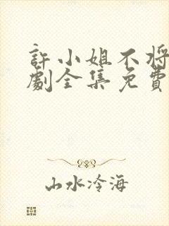 许小姐不将就短剧全集免费观看