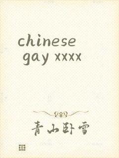 chinese gay xxxx封面