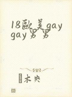 18欧美gaygay男男