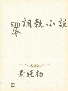 sm调教小说羞辱