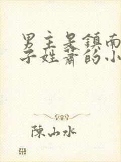 男主是镇南王世子姓萧的小说