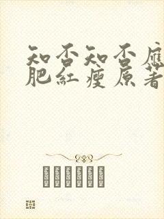 知否知否应是绿肥红瘦原著作者