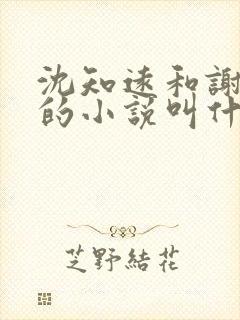 沈知远和谢若微的小说叫什么名字封面