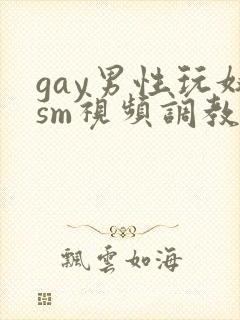 gay男性玩奴sm视频调教