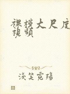 裸模大尺度写真视频