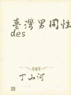 台湾男同性vides