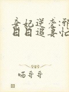 弃妃逆袭:邪王日日追妻忙