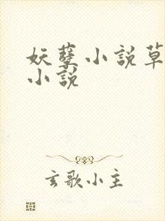 妖孽小说草莓酱小说