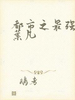 都市之最强狂兵叶凡