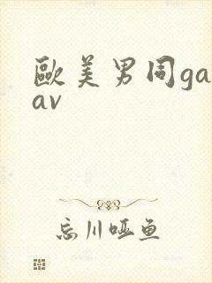 欧美男同gayav