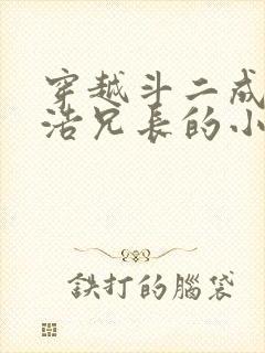 穿越斗二成霍雨浩兄长的小说