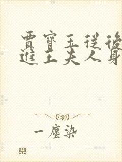 贾宝玉从后面挺进王夫人身体小说