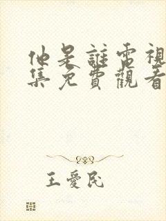 他是谁电视剧全集免费观看完整版