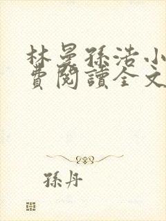 林曼孙浩小说免费阅读全文最新章节