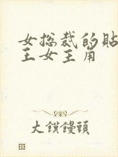 女总裁的贴身兵王女主角