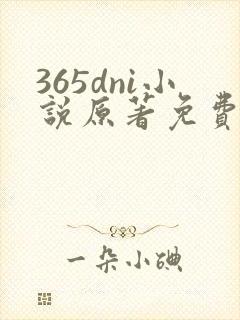 365dni小说原著免费阅读