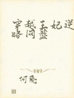 穿越王妃逆袭攻略网盘