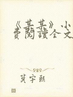 《某某》小说免费阅读全文封面