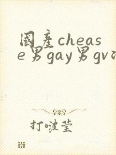 国产chease男gay男gv浪小辉
