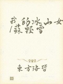 我的冰山女总裁/苏轻雪