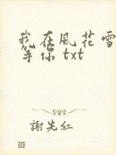 我在风花雪月里等你 txt