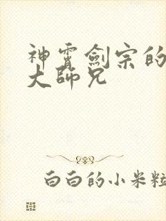 神霄剑宗的废柴大师兄封面