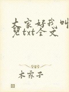 大家好我叫林喜儿txt全文