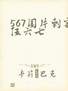 567图片刺客伍六七