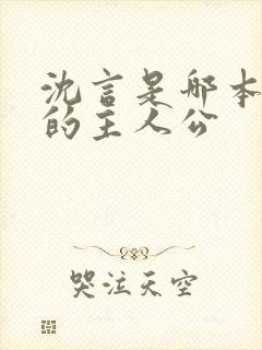 沈言是哪本小说的主人公