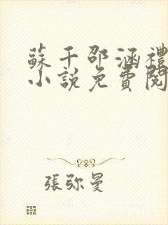 苏千邵涵礼原著小说免费阅读封面