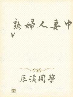 熟妇人妻中文av